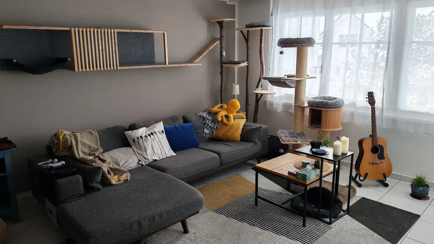 Appartement à louer - Usterstrasse 27, 8614 Bertschikon (Gossau ZH)