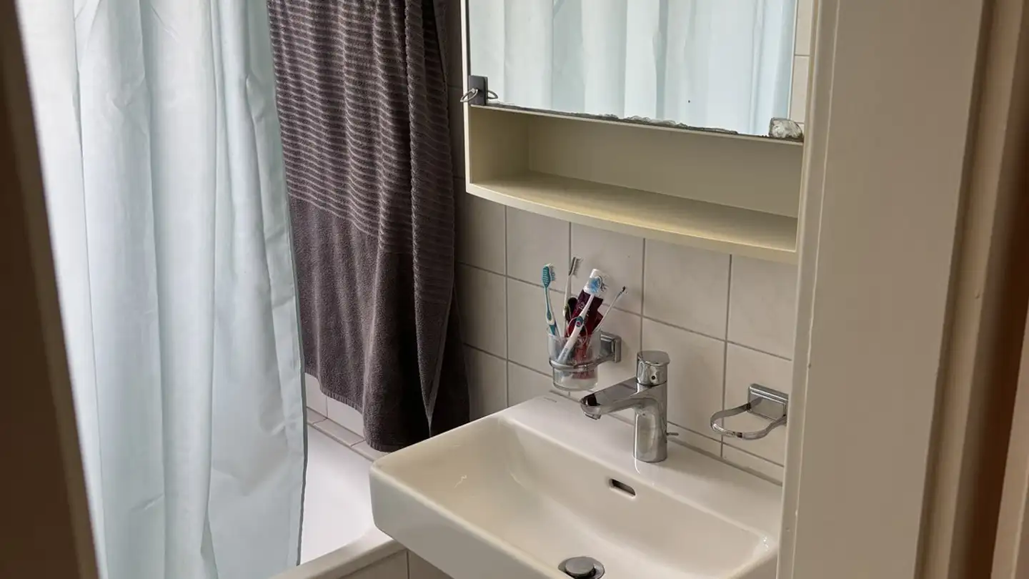 Appartamento in affitto - Anemonenstrasse 7, 8047 Zürich - Photo 3