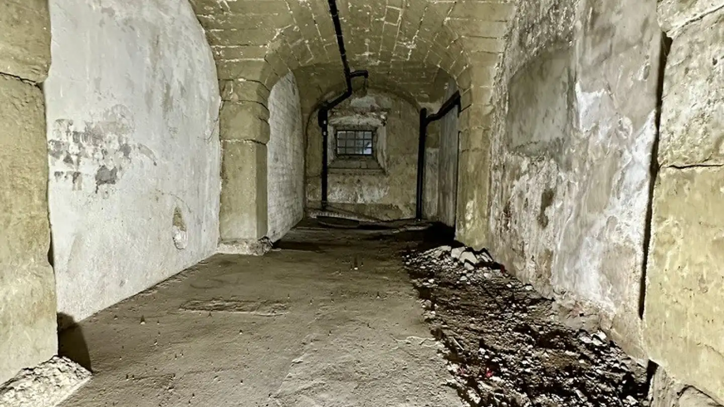 Wohnung kaufen - Chemin De La Buchille 1, 1694 Villarsiviriaux - Foto 4