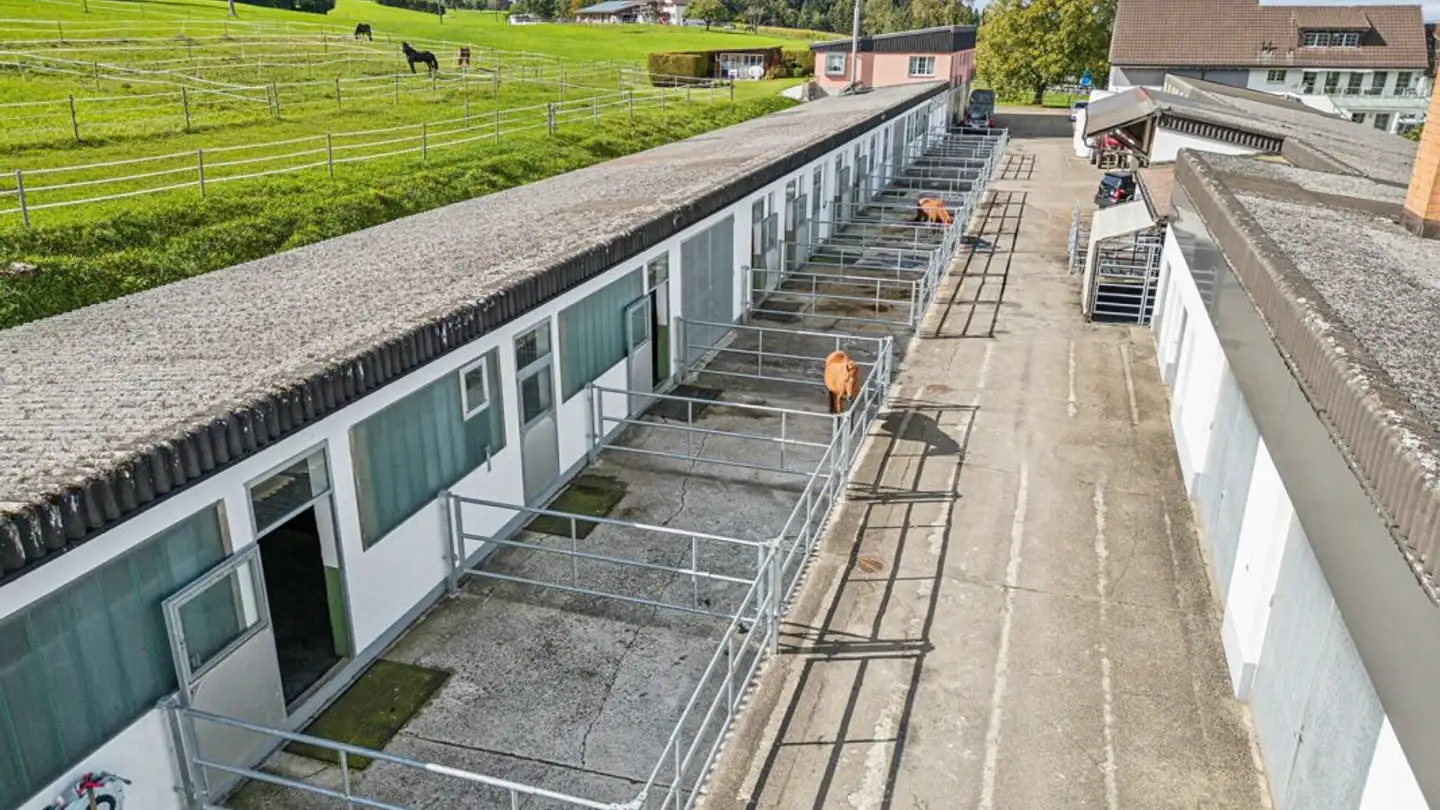 Horse box for sale - 9542 Münchwilen TG