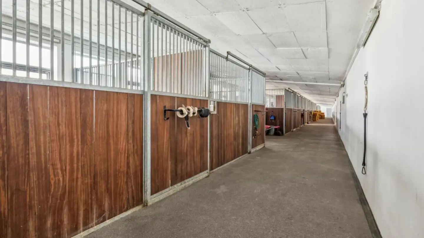 Box per cavalli in vendita - 9542 Münchwilen TG - Photo 4