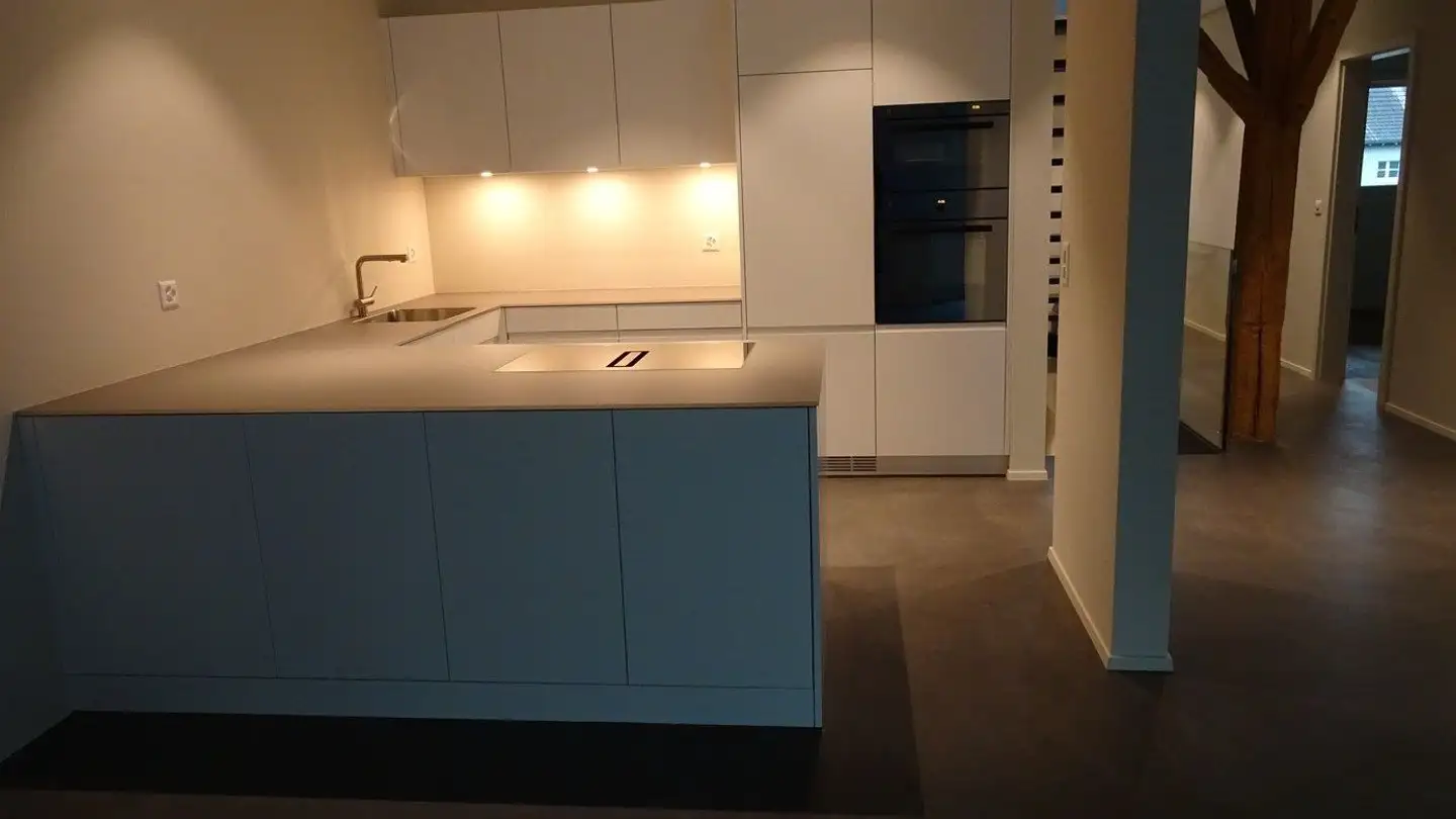 Semi-detached house for rent - Effretikerstrasse 1, 8604 Volketswil - Photo 4