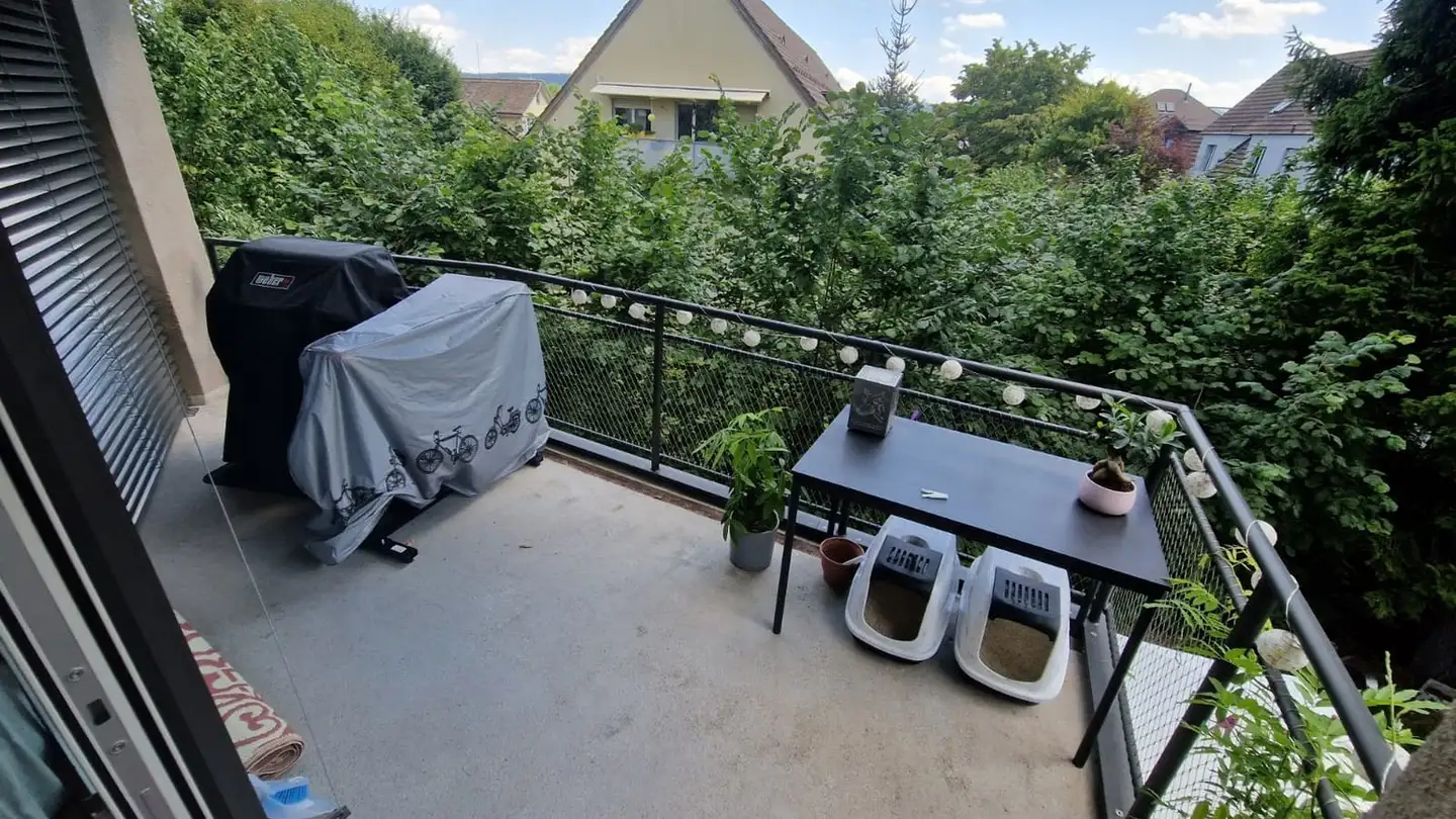 Stanza singola in affitto - 8038 Zürich - Foto 3