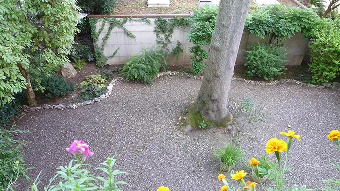 Wohnung mieten - Sängergasse 23, 4054 Basel - Foto 3