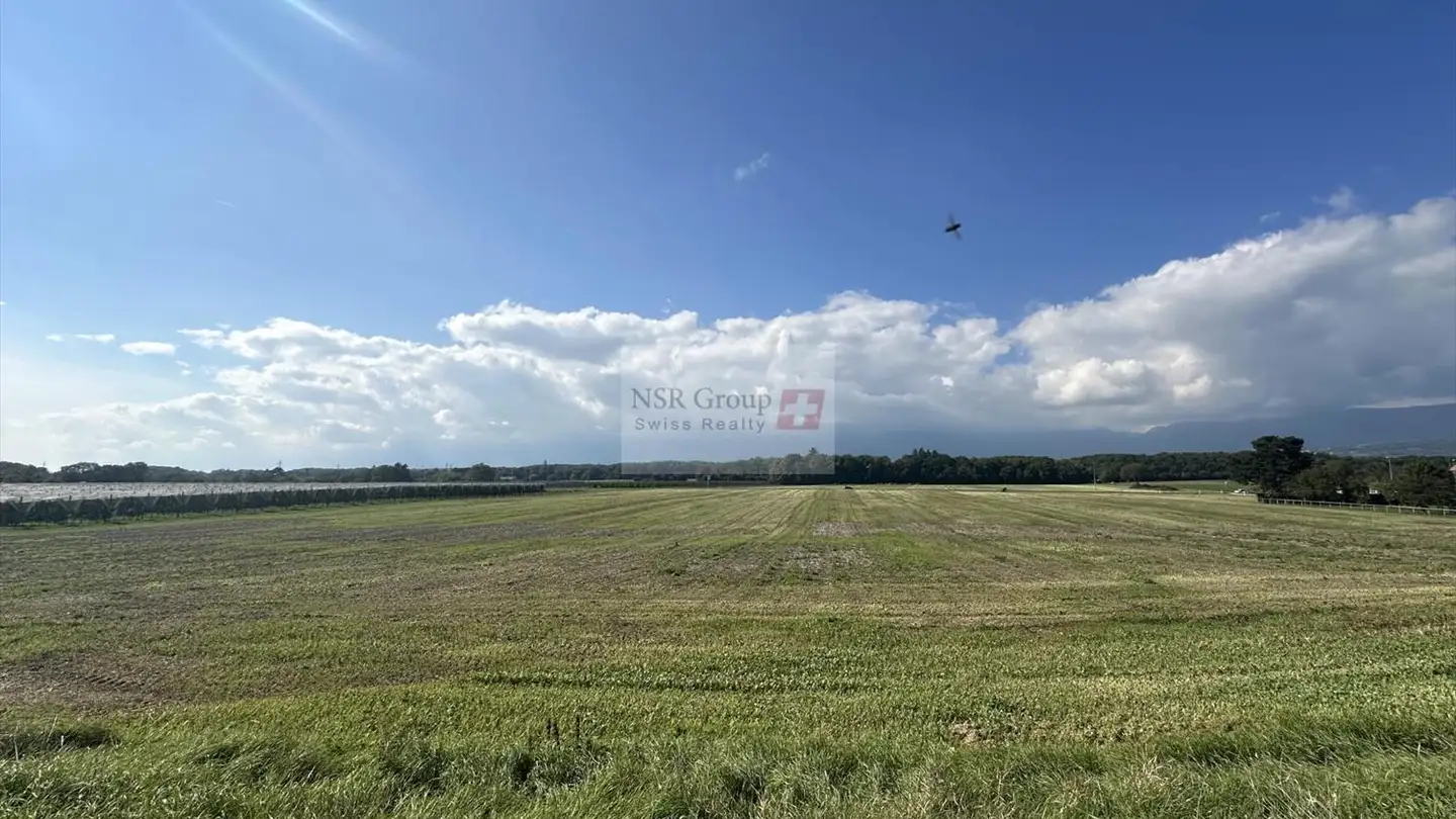 Fattoria in affitto - 1204 Genève - Photo 2