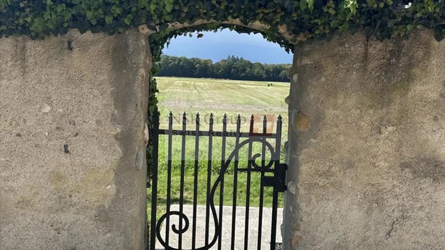 Fattoria in affitto - 1204 Genève - Photo 3