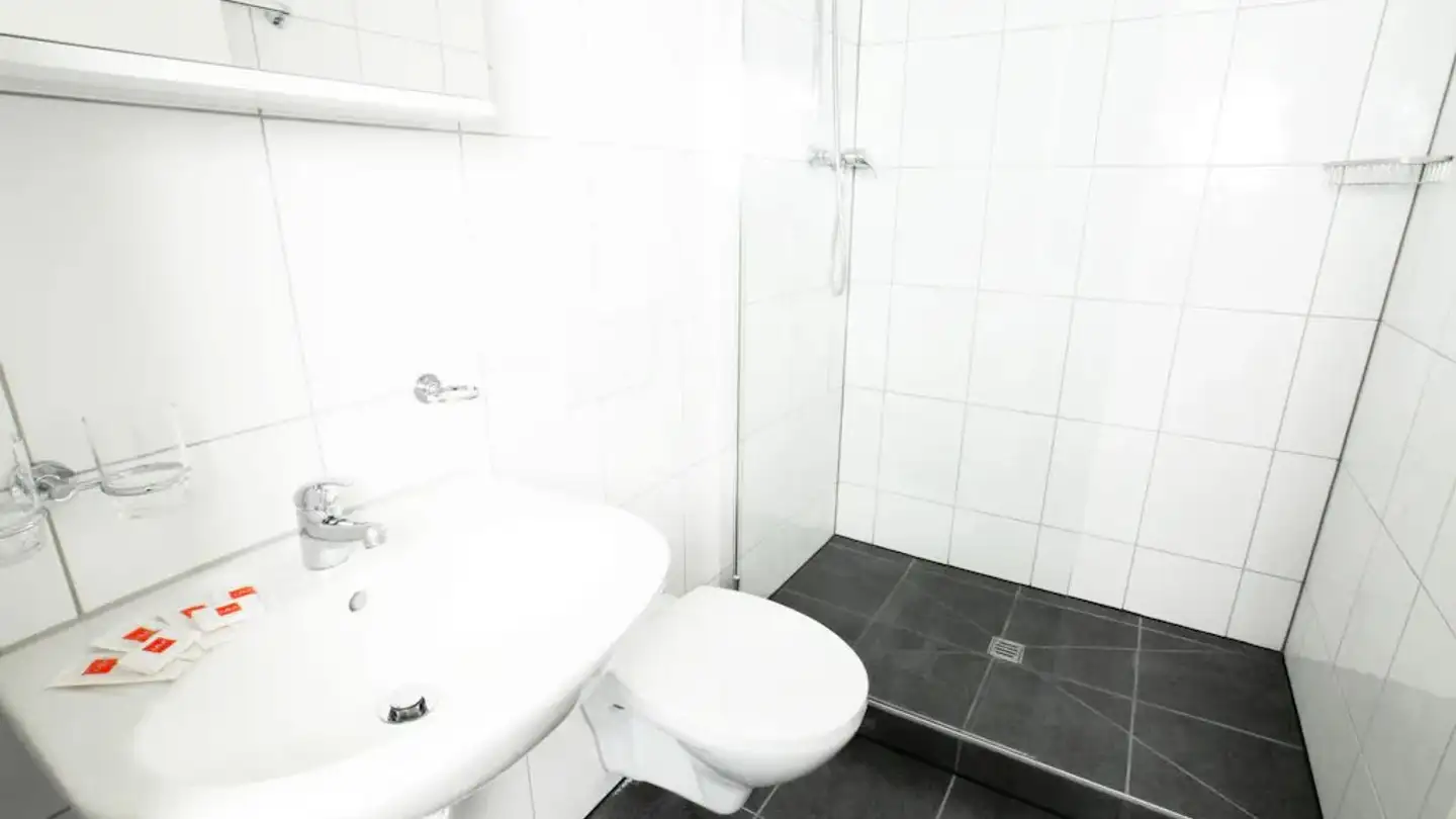 Wohnung mieten - Schwamendingenstrasse, 8050 Zürich - Foto 4