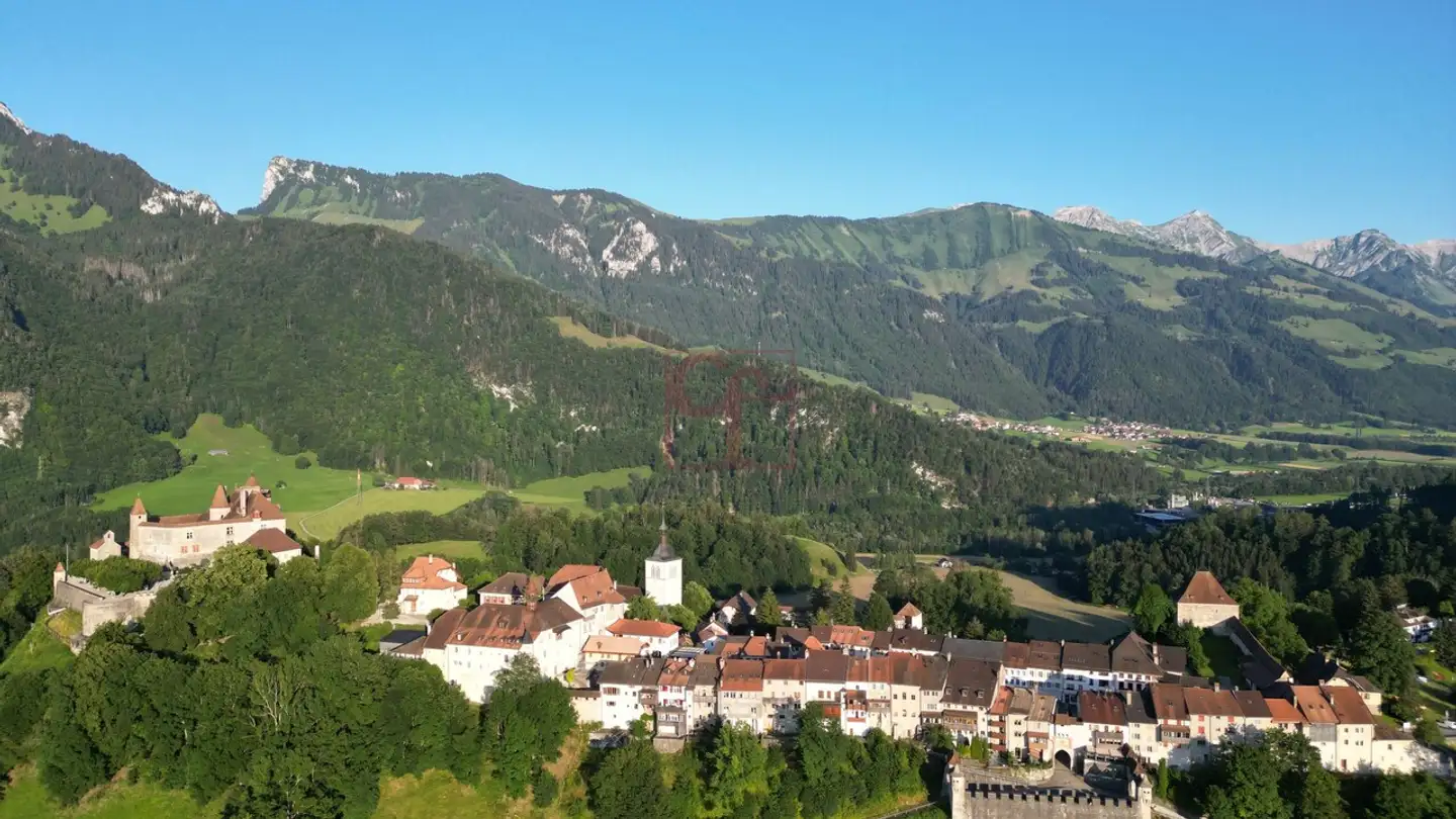 Appartamento in vendita - 1663 Gruyères - Photo 4