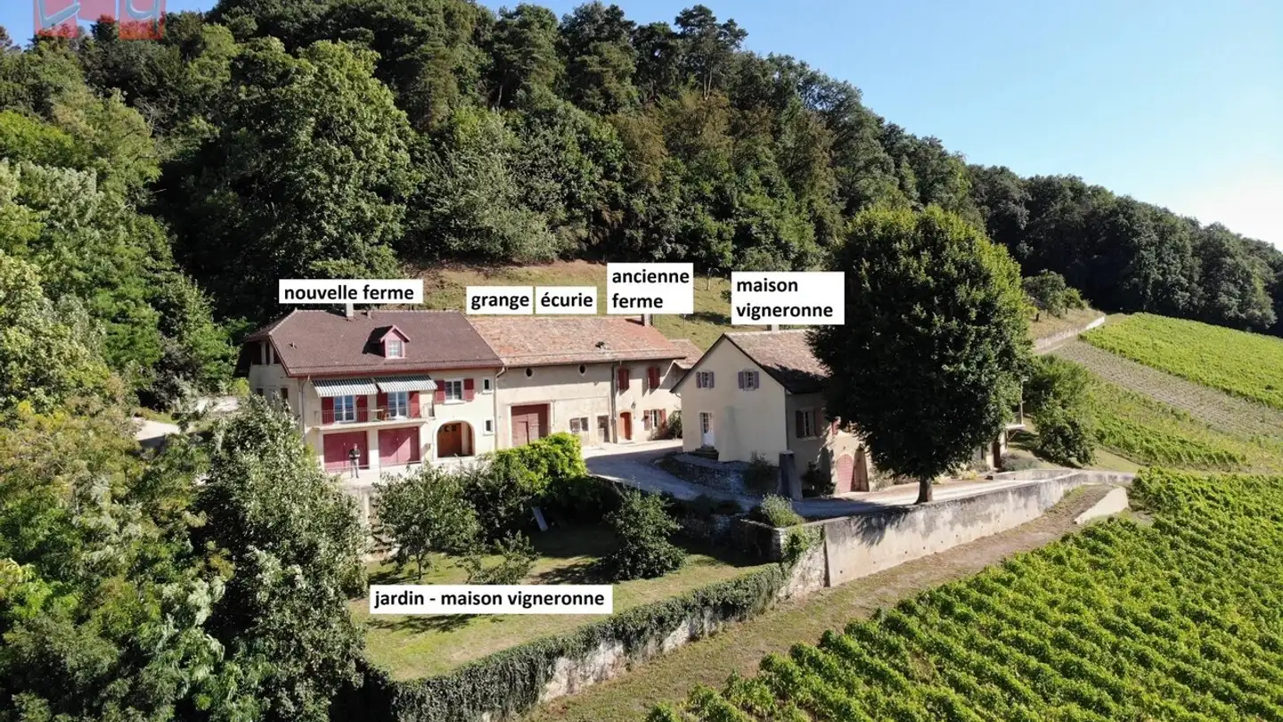 Einfamilienhaus kaufen - 1184 Luins - Foto 2