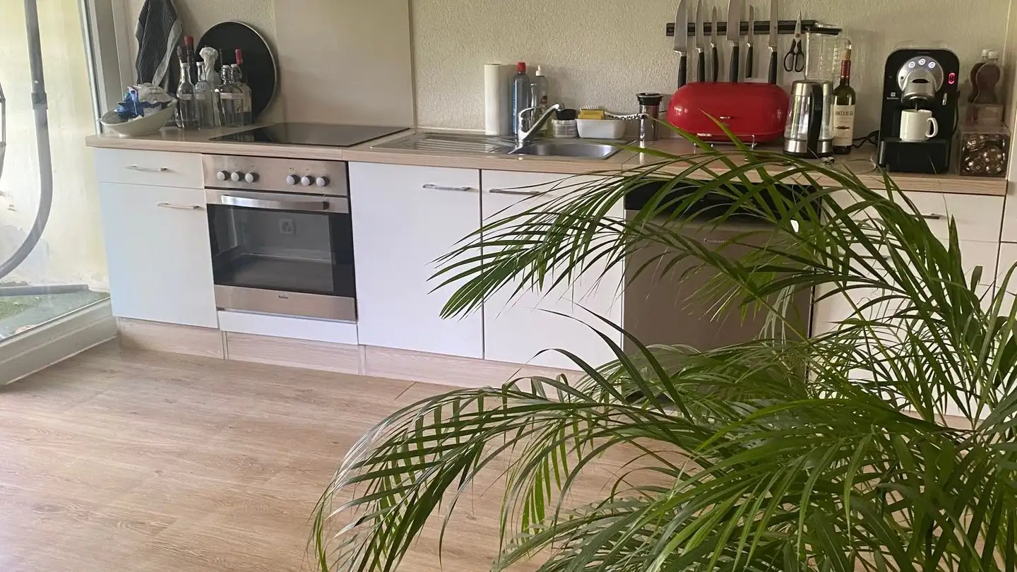 Row house for rent - Farnsbergstrasse 45, 3360 Herzogenbuchsee - Photo 2