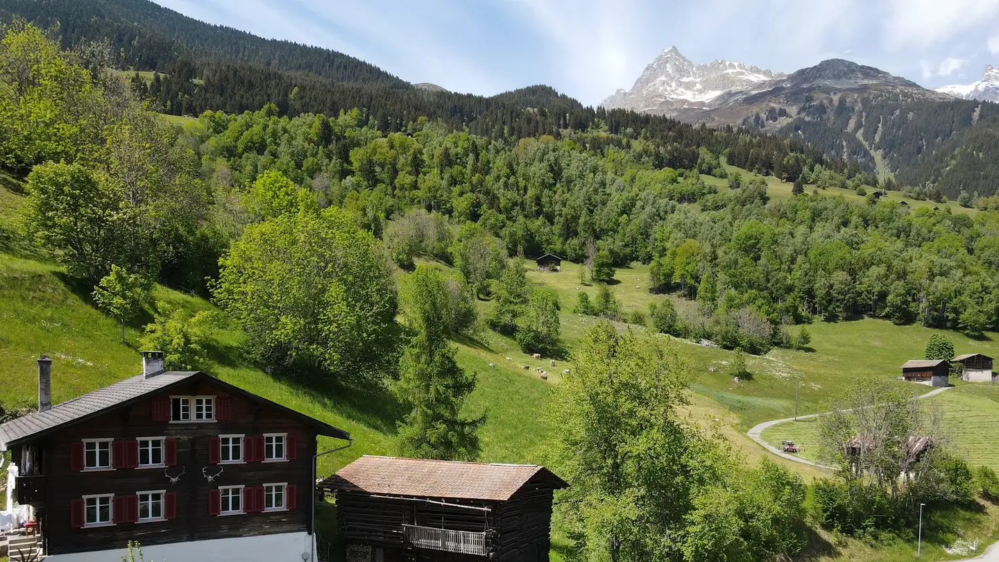 Bauernhof kaufen - Via Runs 2, 7172 Rabius