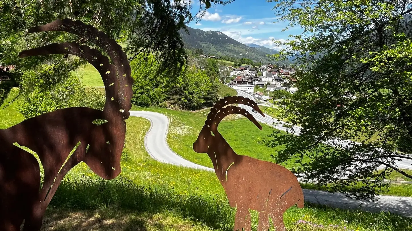 Bauernhof kaufen - Via Runs 2, 7172 Rabius - Foto 4