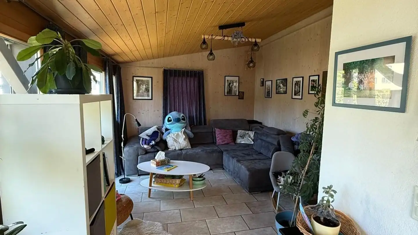 Single house for rent - 8620 Wetzikon ZH