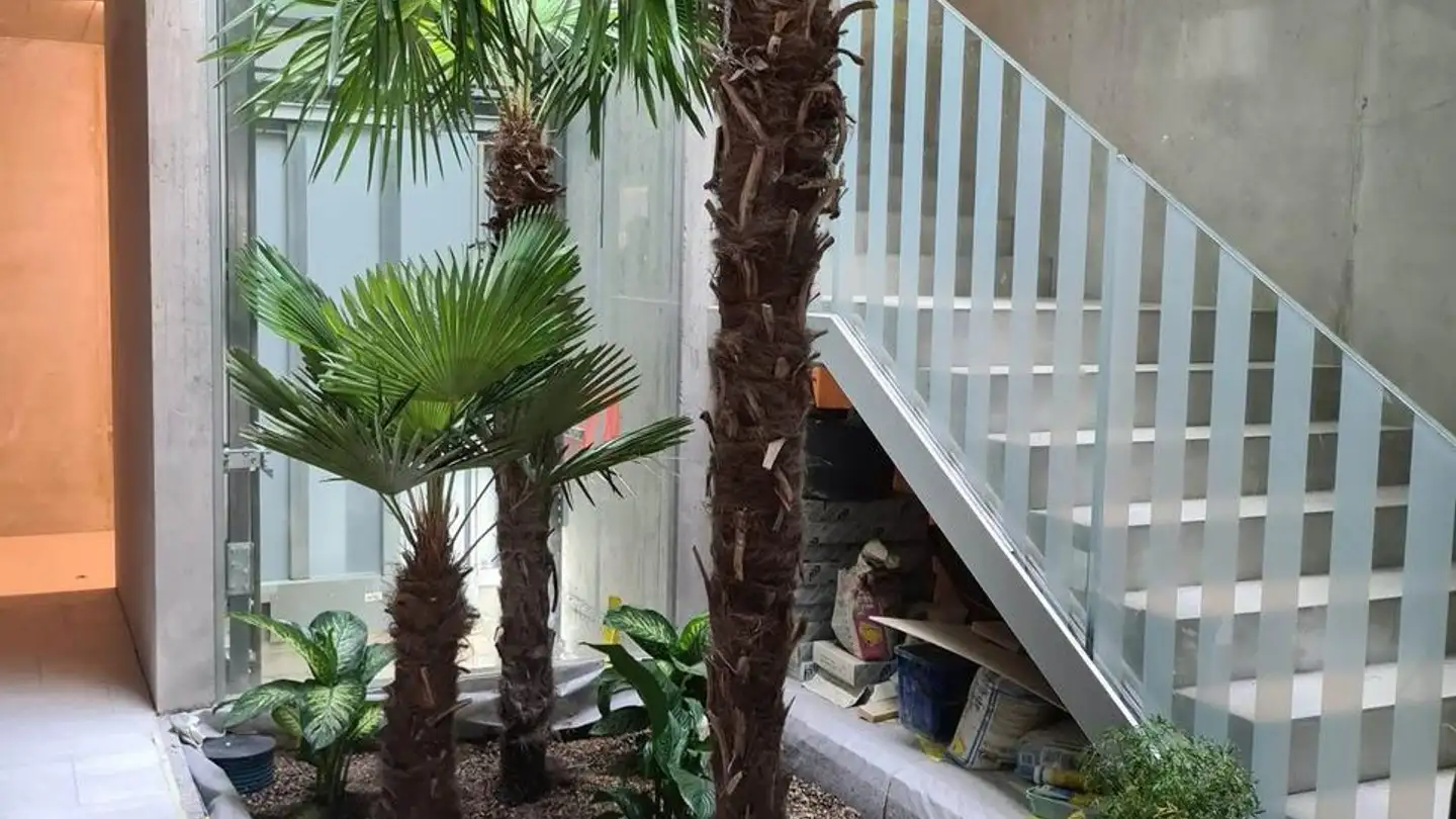 Apartment for rent - Route De Saillon, 1926 Fully