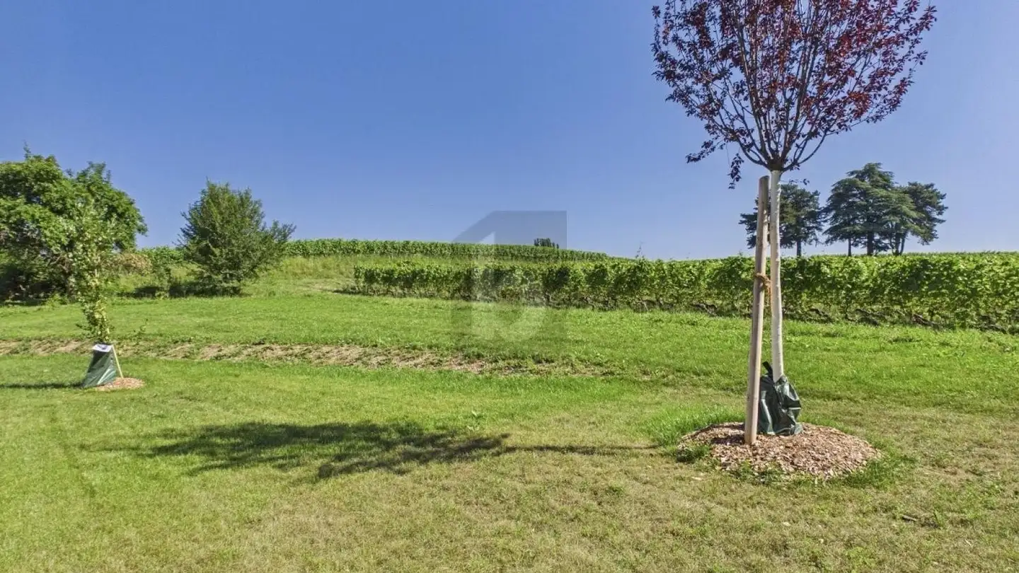 Casa singola in affitto - 1242 Satigny