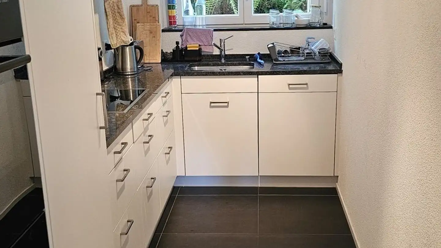 Chambre à louer - Limmattalstrasse, 8049 Zürich - Photo 3
