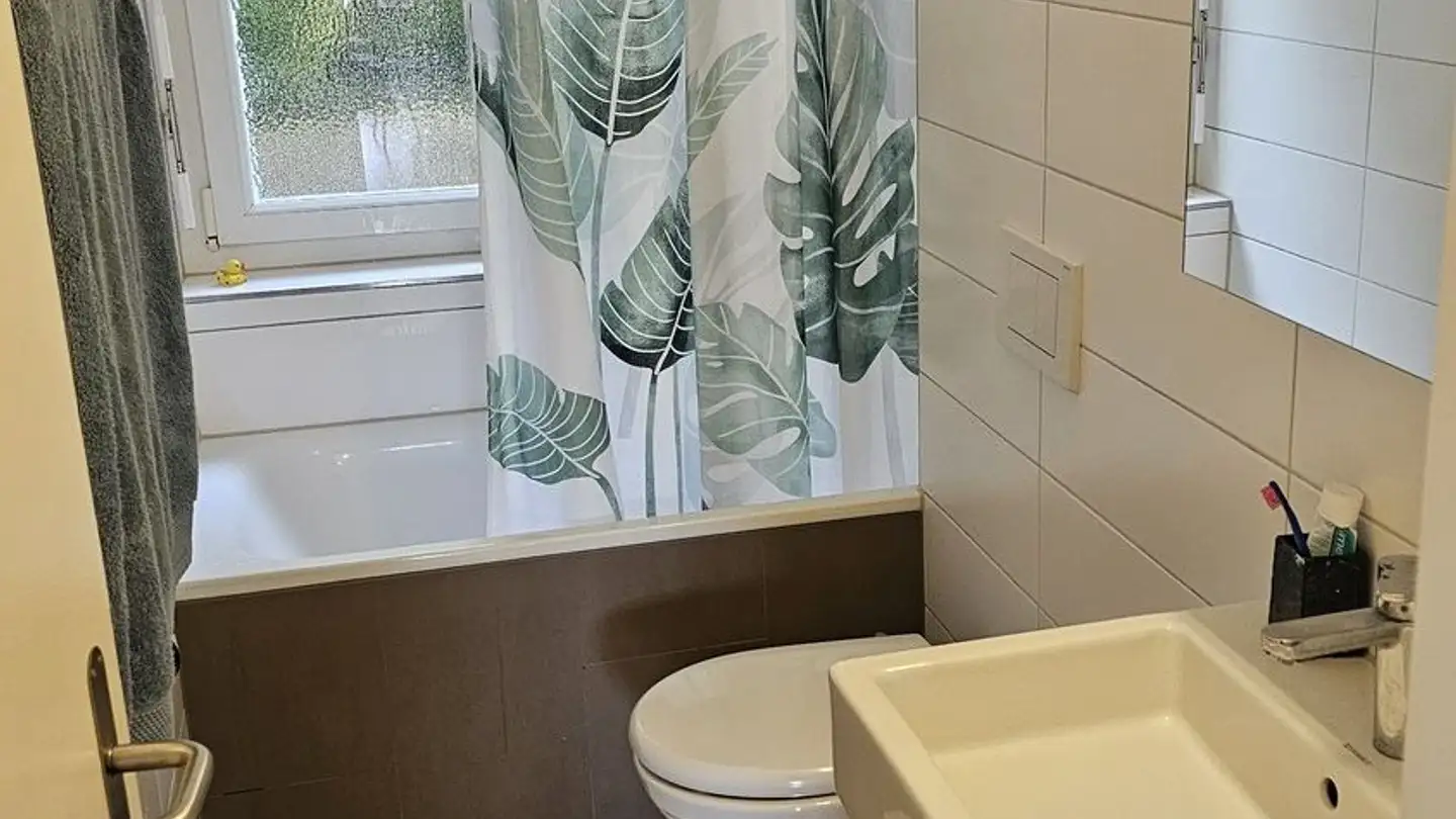 Chambre à louer - Limmattalstrasse, 8049 Zürich - Photo 4