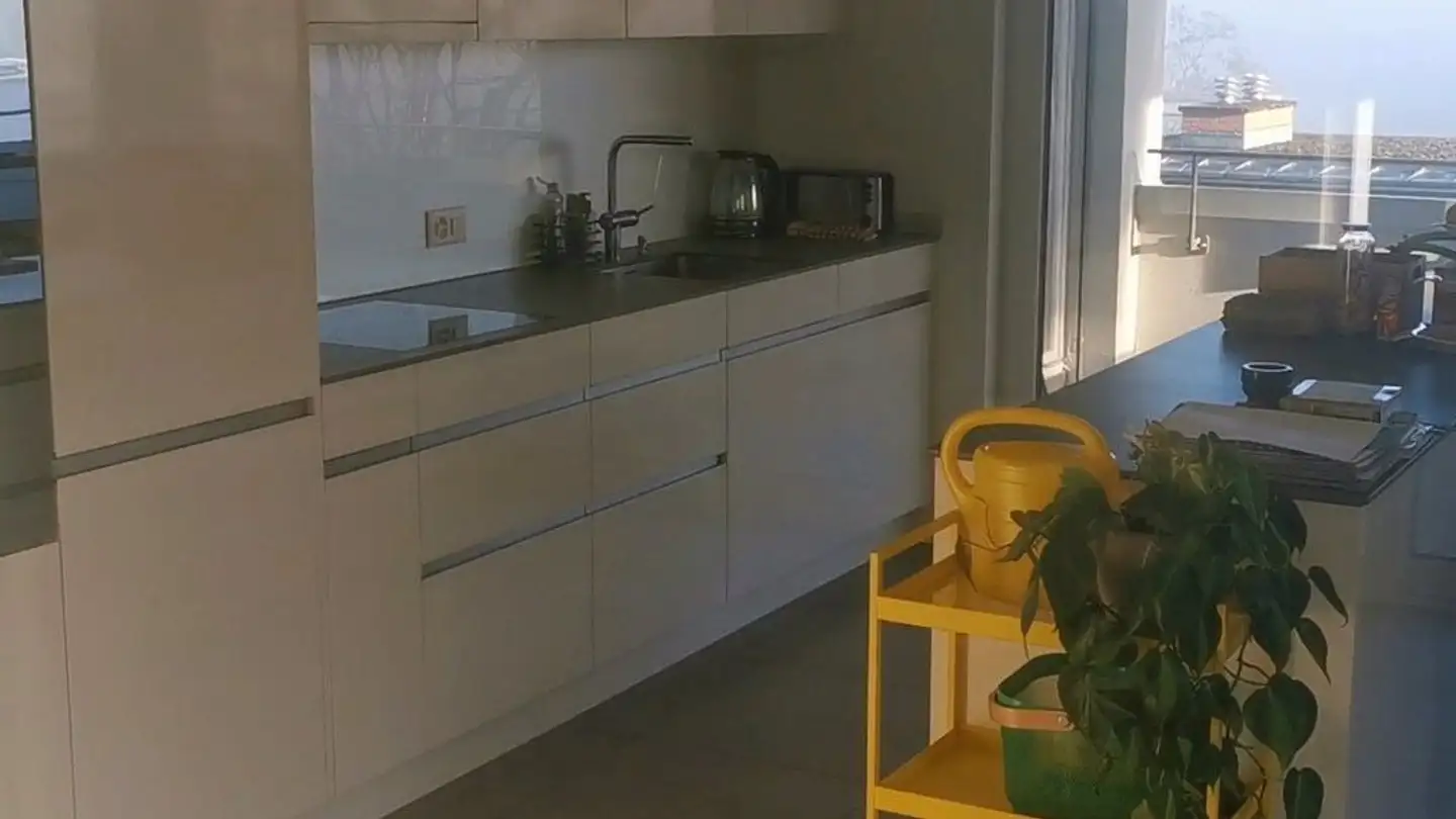 Appartamento in affitto - Obere Geerenstrasse 17, 8044 Gockhausen - Foto 3