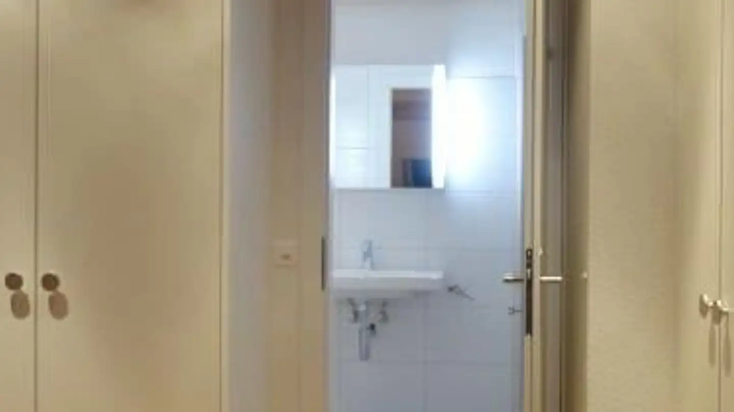 Attic flat for rent - Geerenstrasse, 8604 Volketswil - Photo 3