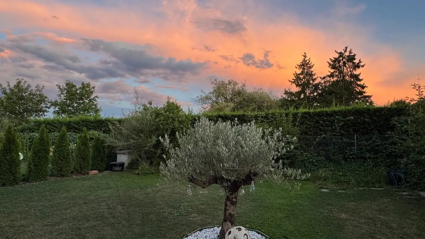 Wohnung kaufen - 1292 Chambésy