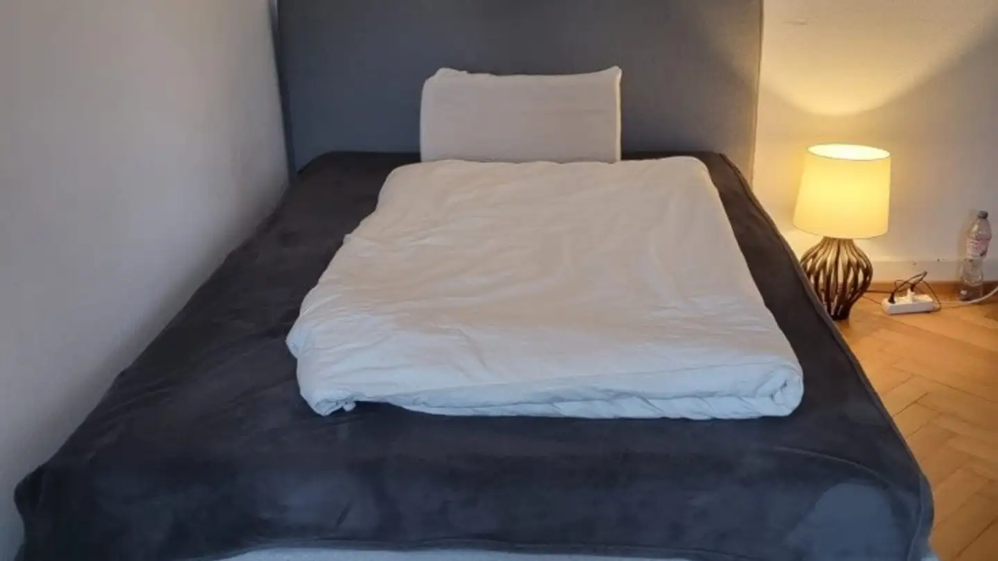 Apartment for rent - Seestrasse 49, 8703 Erlenbach ZH