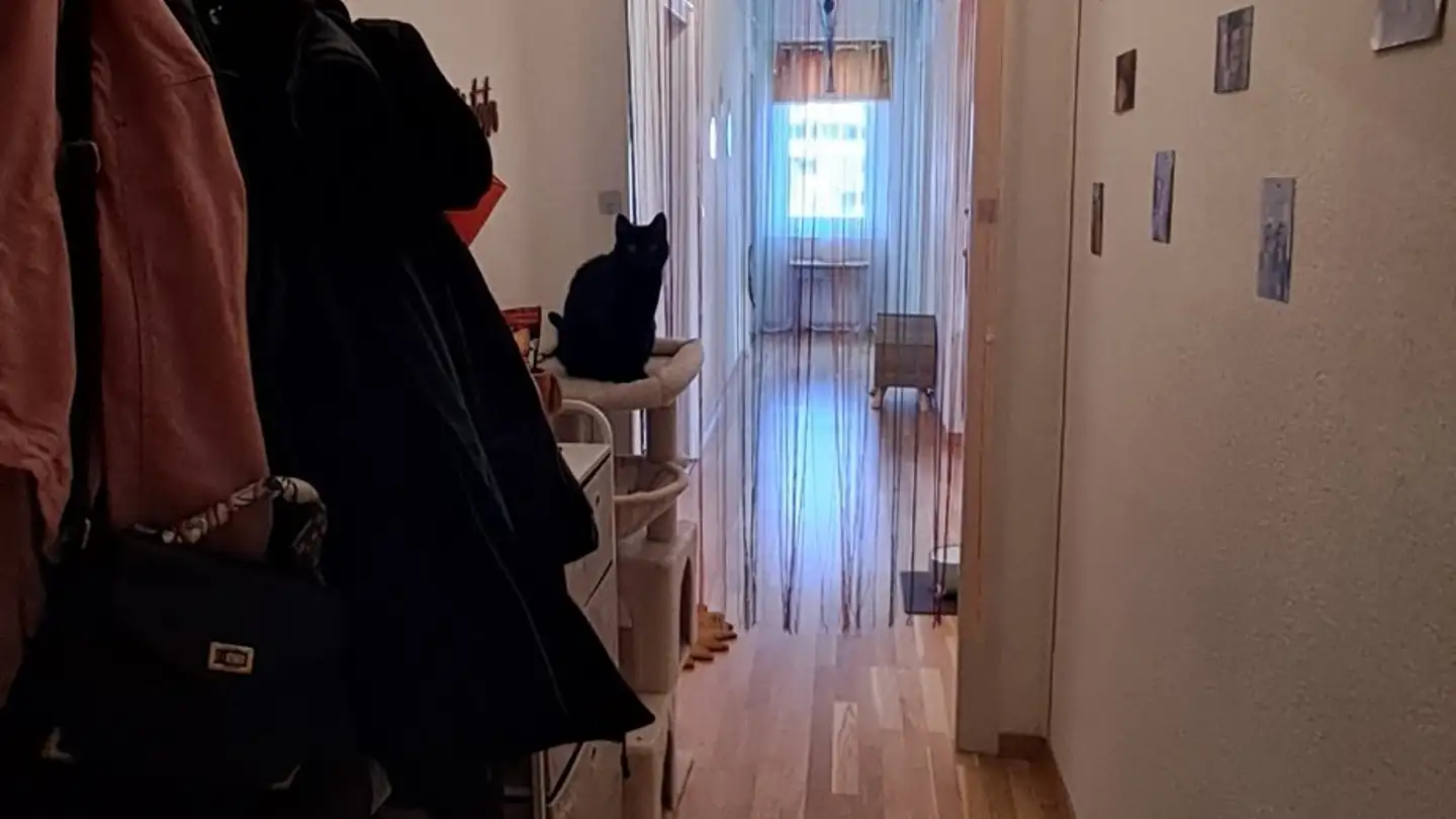 Apartment for rent - Avenue Des Alpes 94, 1820 Montreux