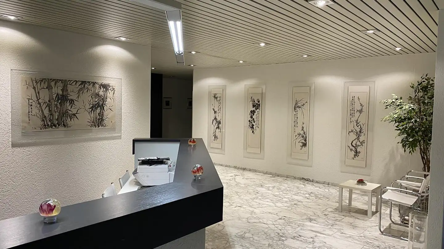 Bureau à louer - Alte Steinhauserstrasse 19, 6330 Cham