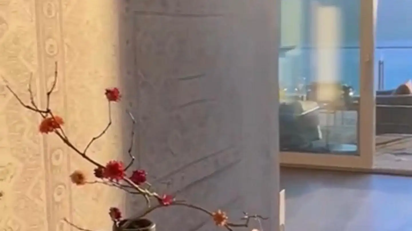 Wohnung mieten - 6318 Walchwil - Foto 3