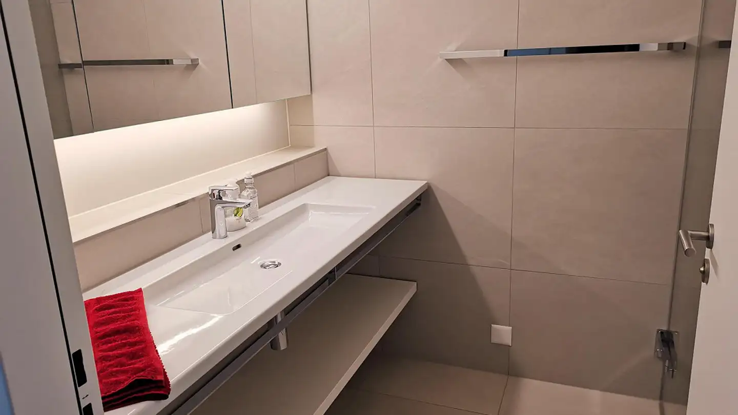 Apartment for rent - Binsböschenweg 9, 6045 Meggen - Photo 3