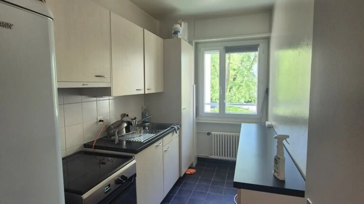 Wohnung mieten - Rue De La Prulay 66, 1217 Meyrin - Foto 3