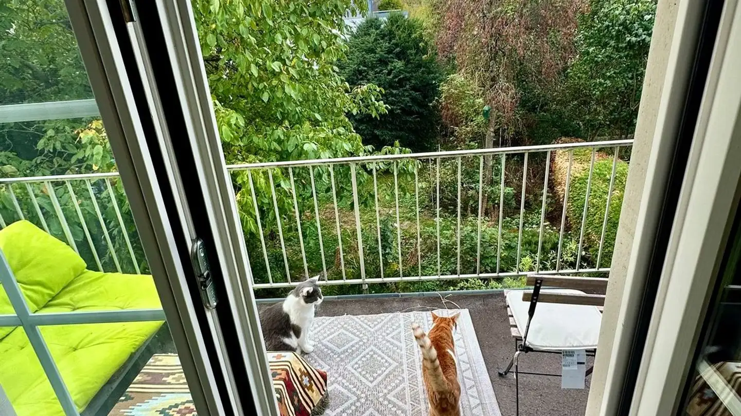Zimmer mieten - Dahliaweg 7, 3004 Bern - Foto 4