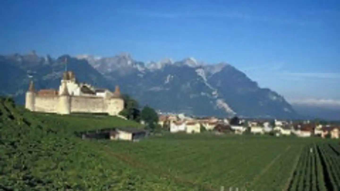 Casa singola in affitto - 1860 Aigle