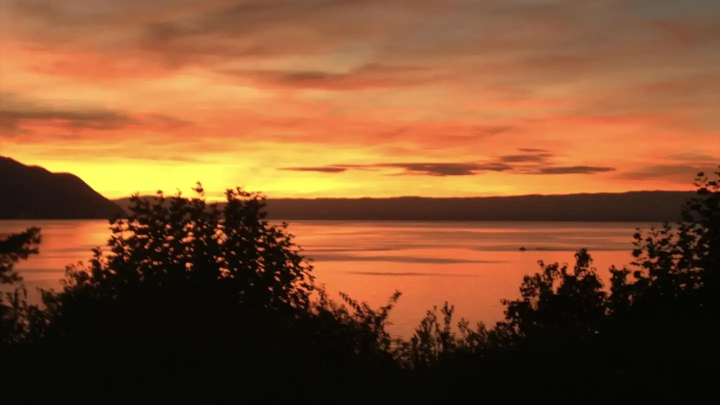 Casa singola in vendita - 1820 Montreux - Photo 3