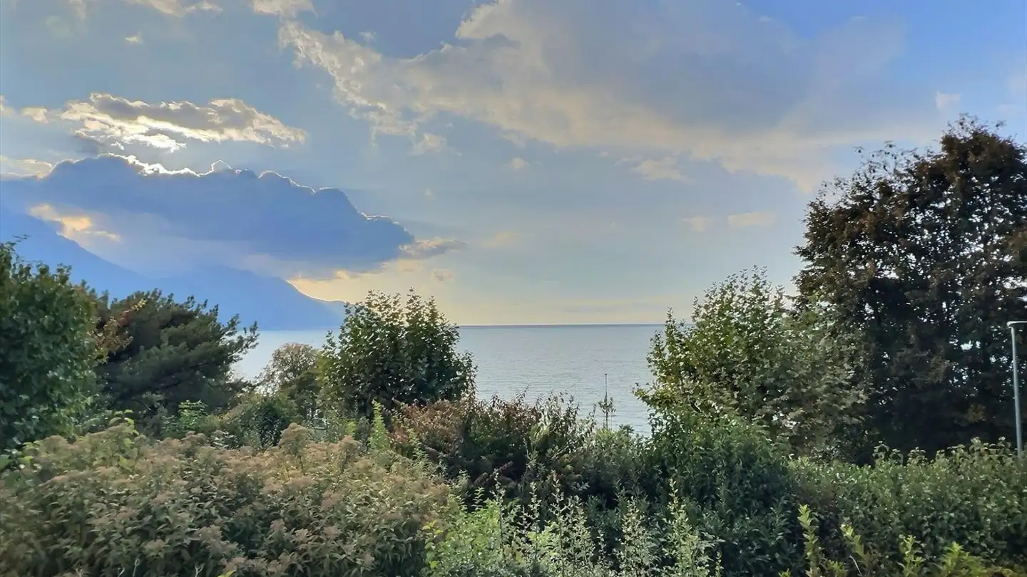 Casa singola in vendita - 1820 Montreux - Photo 2