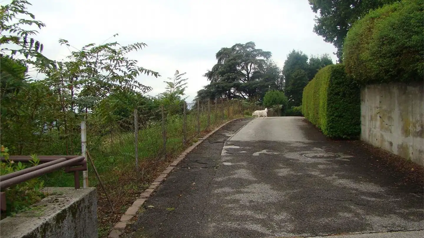 Villa in vendita - 6834 Morbio Inferiore - Photo 4