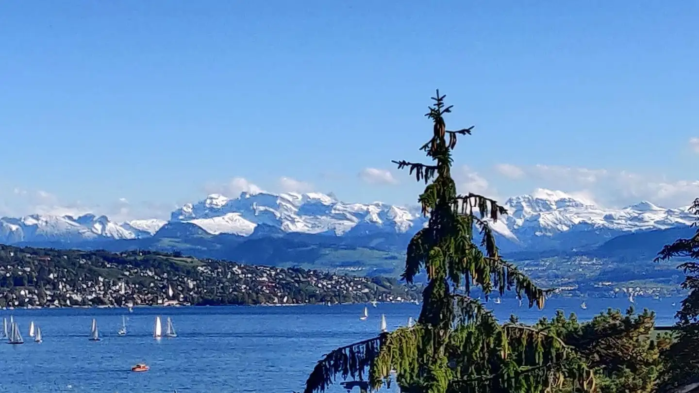 Zimmer mieten - 8005 Zürich - Foto 2