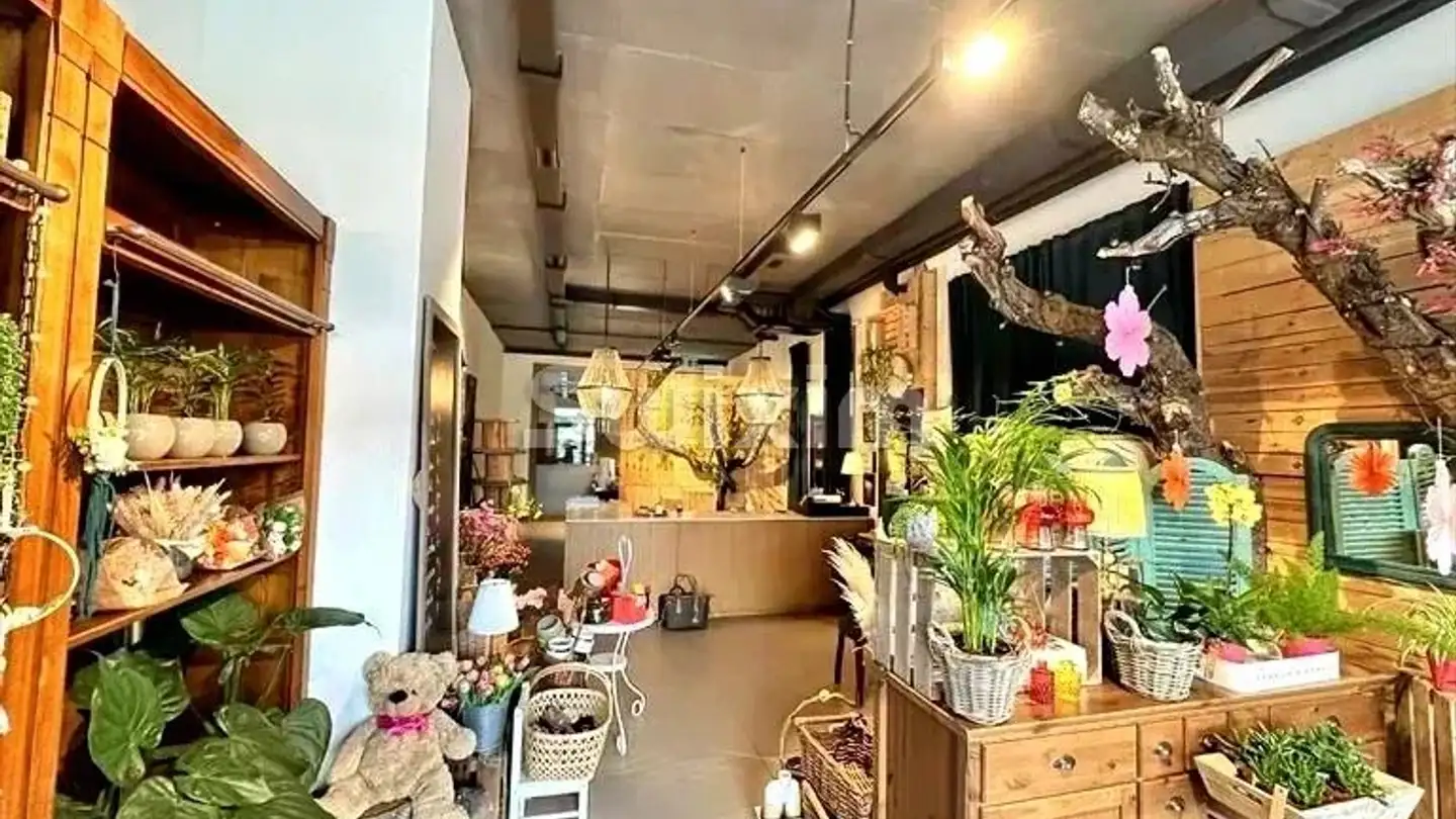 Gewerbe kaufen - 1217 Meyrin