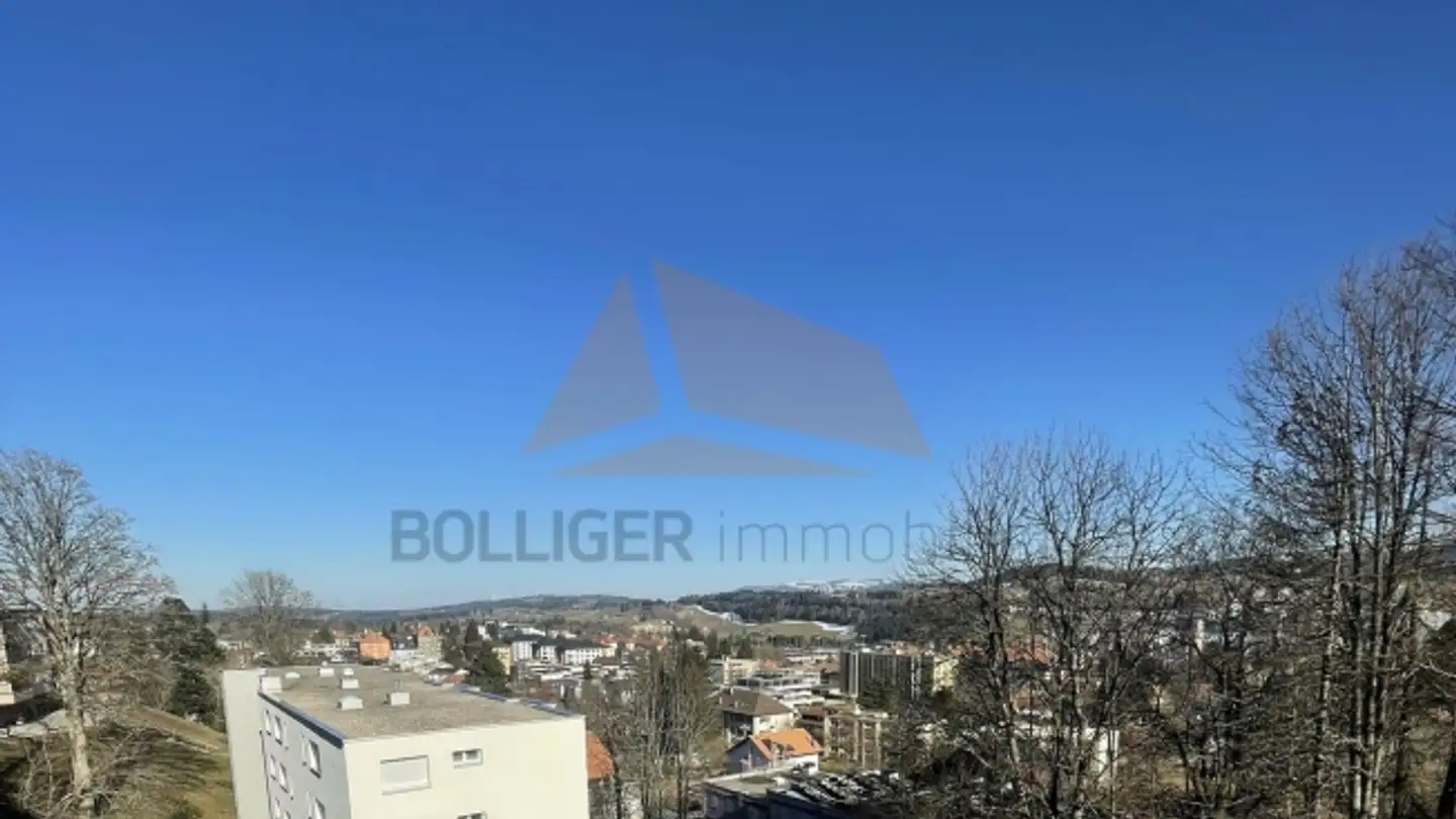 Appartement à vendre - Rue Du Point Du Jour 11, 2300 La Chaux-de-Fonds