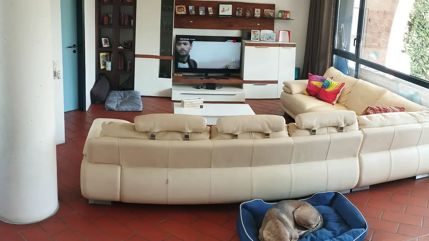 Casa singola in affitto - Via Dragoni 11, 6929 Gravesano