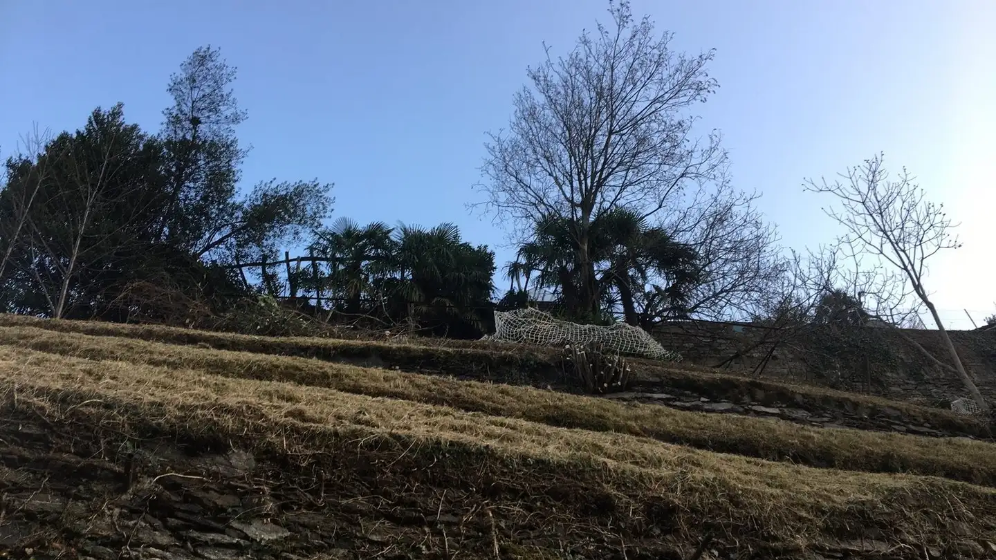 Single house for rent - 6654 Cavigliano - Photo 2