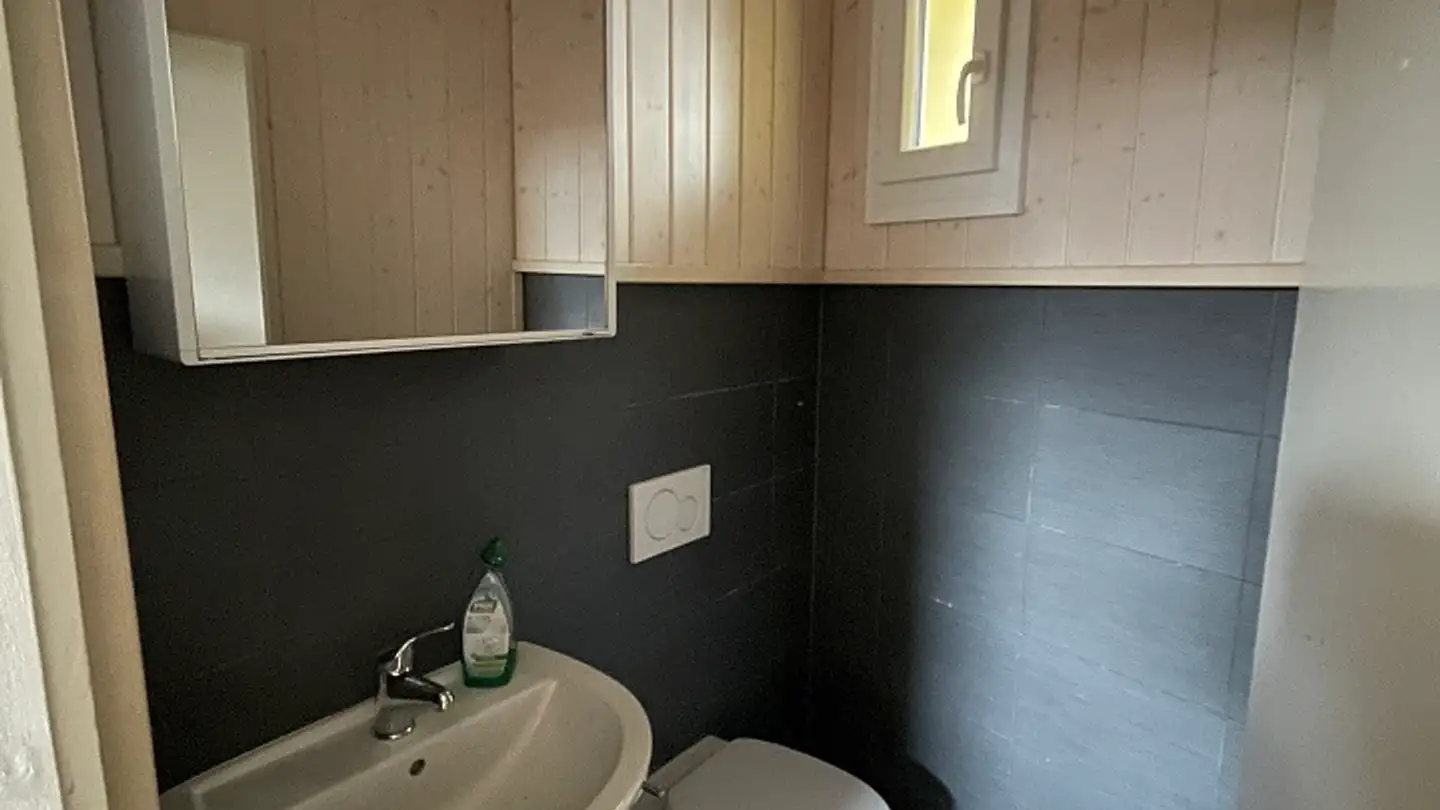 Commercial for rent - Rue Du Marché 10, 1227 Carouge GE - Photo 3