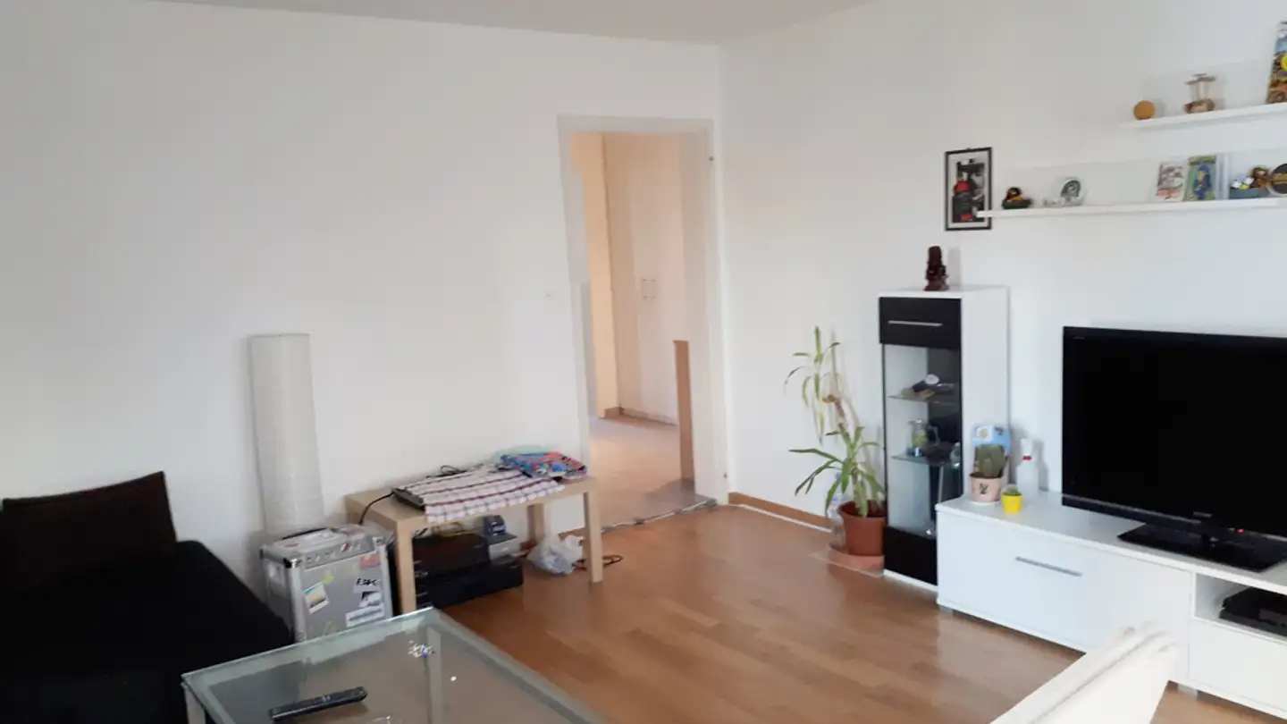 Appartamento in affitto - Kriesbachstrasse 21, 8600 Dübendorf - Photo 4