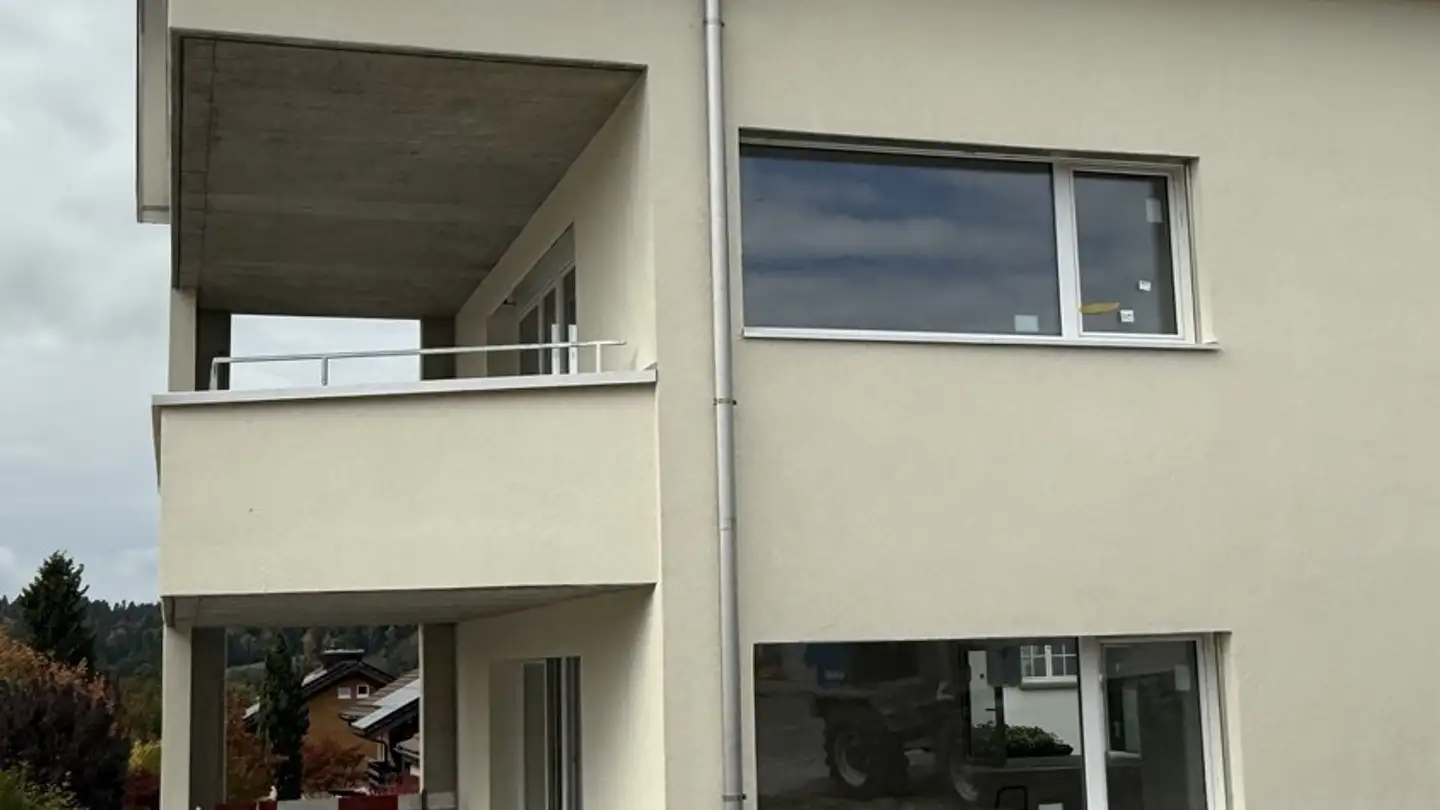 Appartamento in affitto - Hofwiesenstrasse 49, 8113 Boppelsen - Photo 4