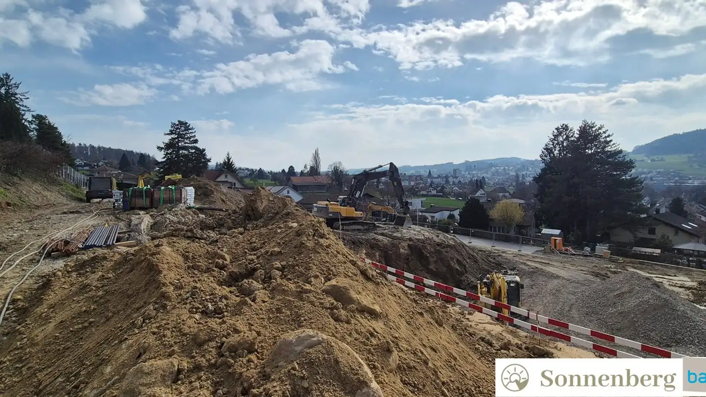 Single house for sale - 5734 Reinach AG - Photo 2