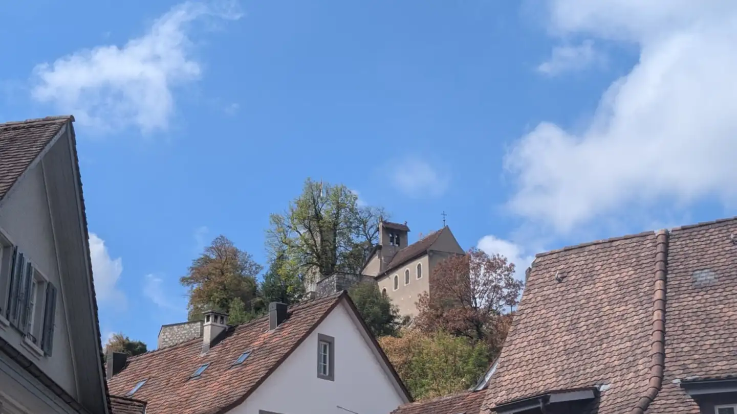 Commercial for rent - Weite Gasse 34, 5400 Baden