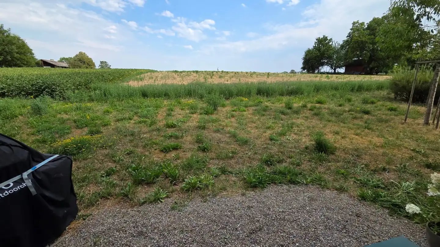 Appartamento in affitto - 8154 Oberglatt ZH
