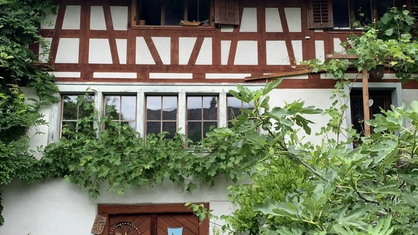 Single room for rent - 8804 Au ZH - Photo 2