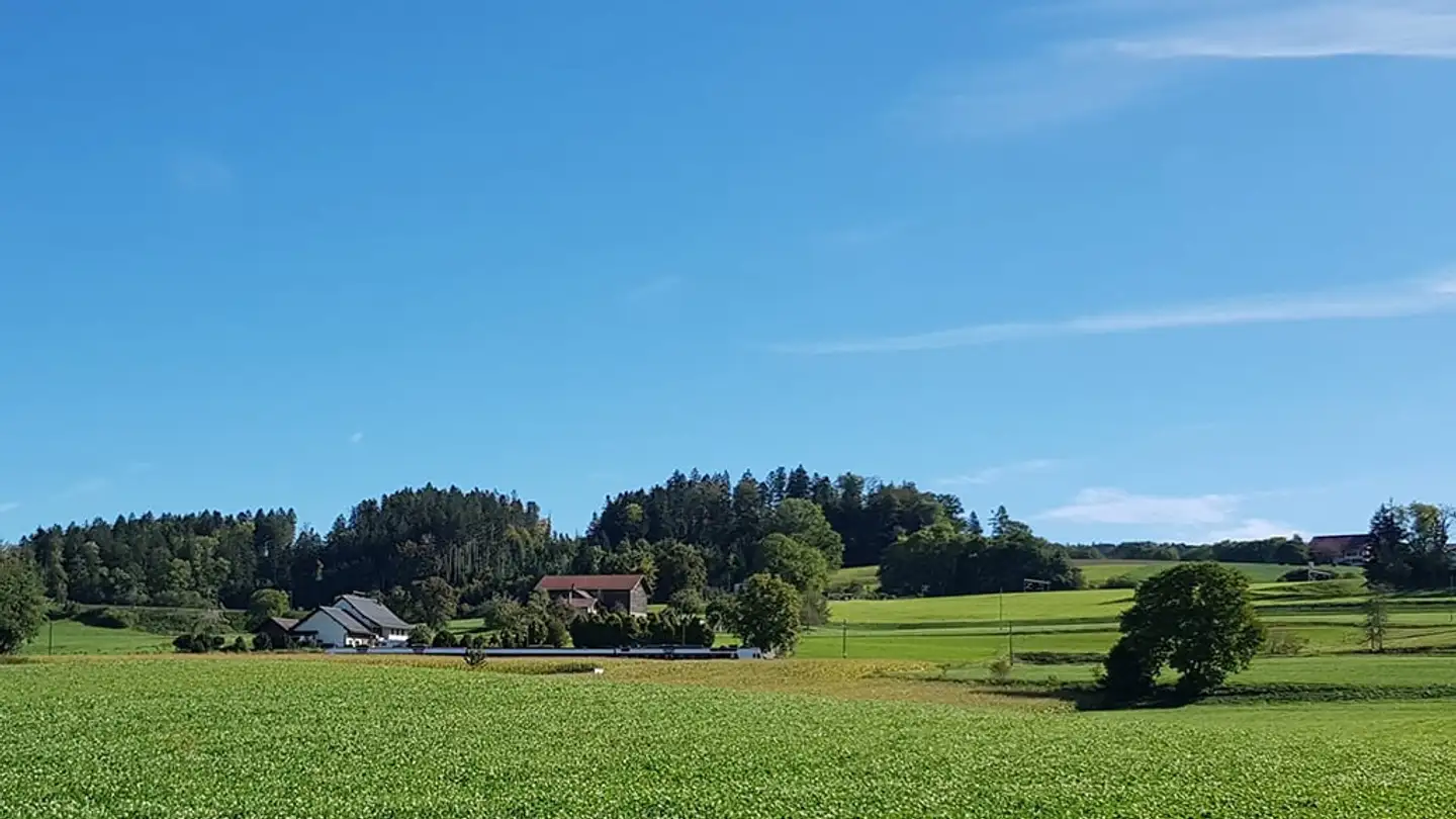 Duplex in vendita - 1003 Lausanne