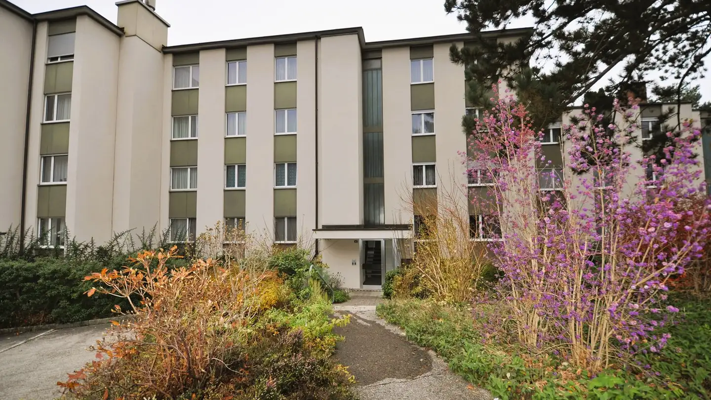 Apartment for rent - Im Muchried 4, 8907 Wettswil