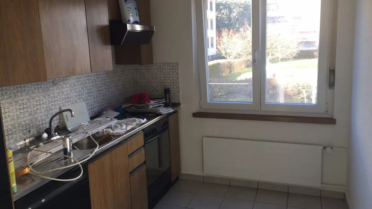 Apartment for rent - Alte Jonastrasse 65, 8640 Rapperswil SG - Photo 4